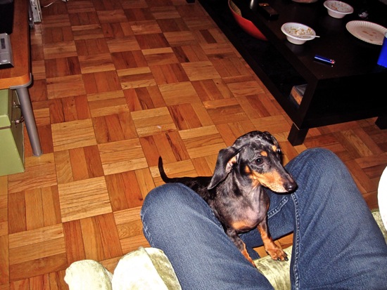 maddy
