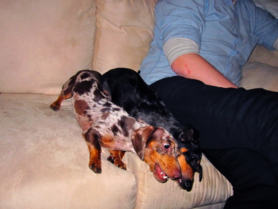 eddie, maddy