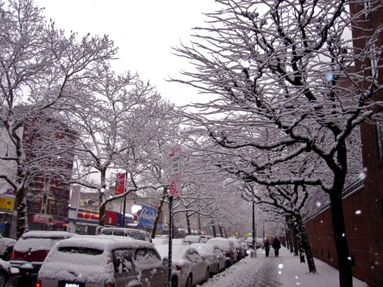 trees