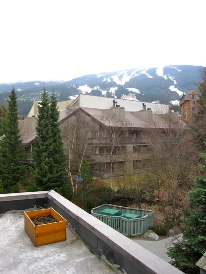 whistler