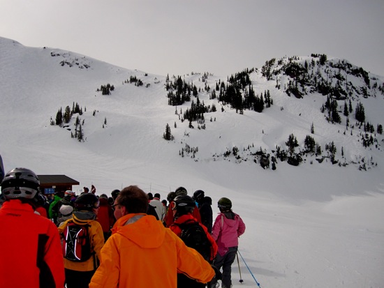 whistler