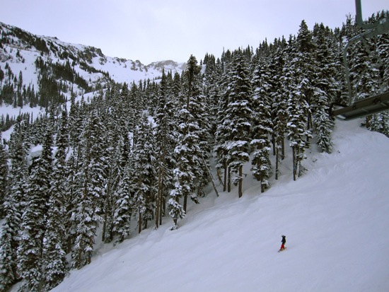whistler