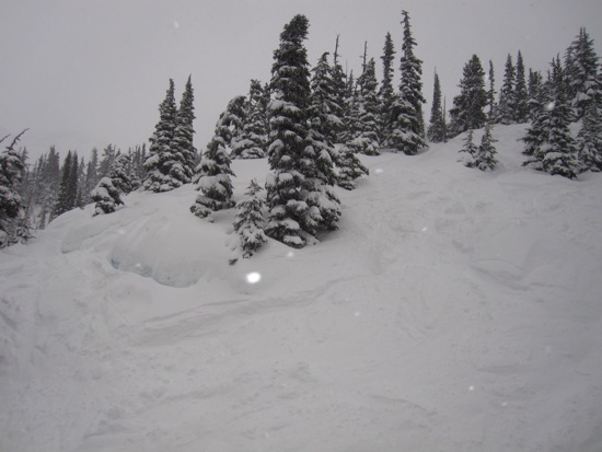 whistler