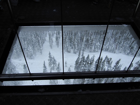 whistler