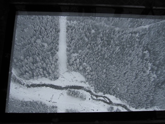 whistler