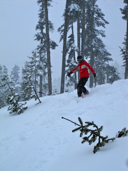 snowboard