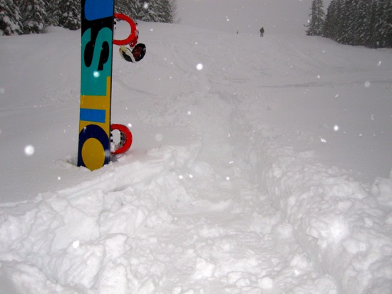 whistler