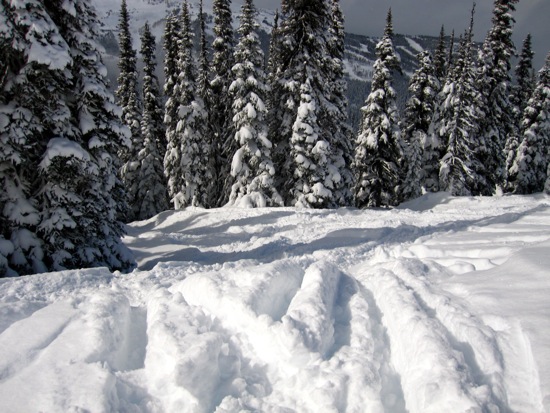 whistler