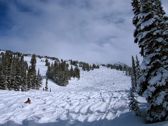whistler