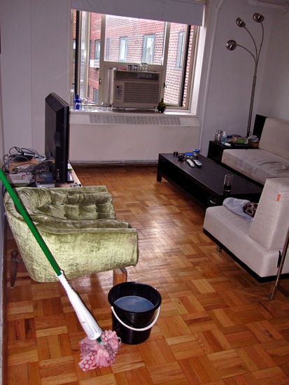stuytown apt