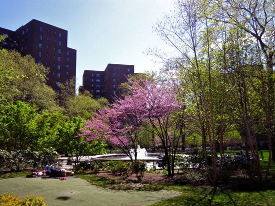 stuytown
