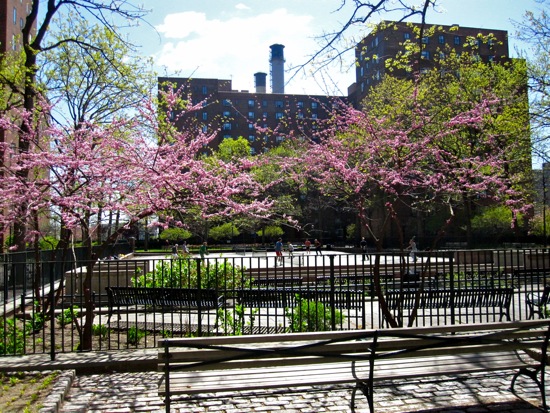 stuytown
