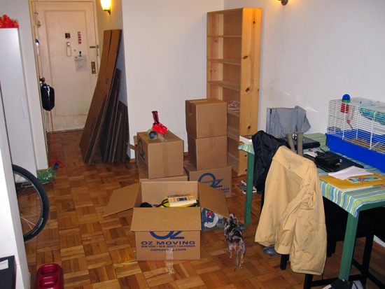 stuytown apt