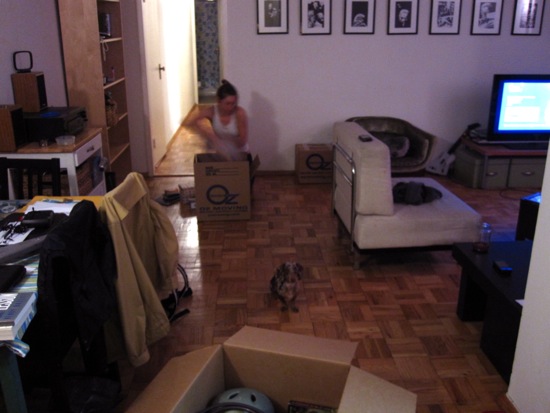 stuytown apt