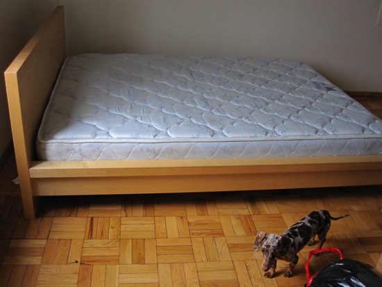 bed