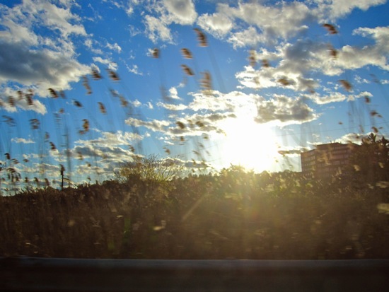 nj