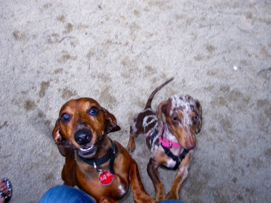 excited