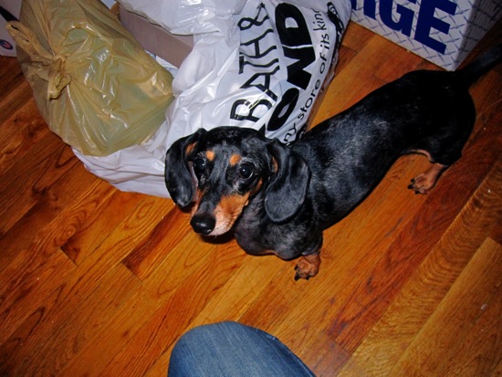 edie