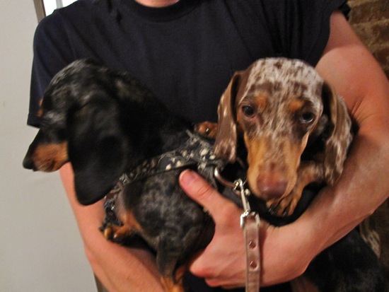edie + maddy