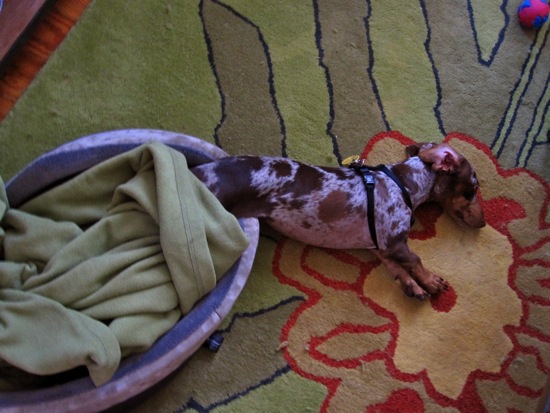 asleep