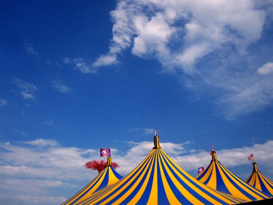 circus