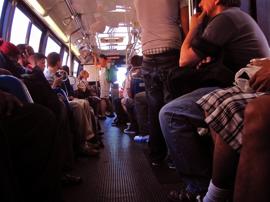 bus