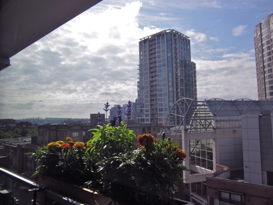 buildings