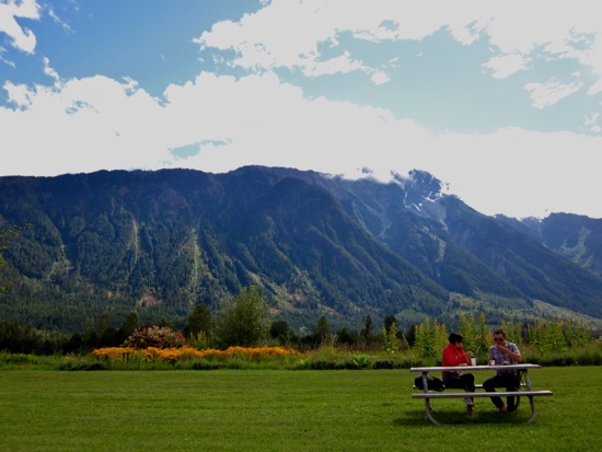 scenic overlook