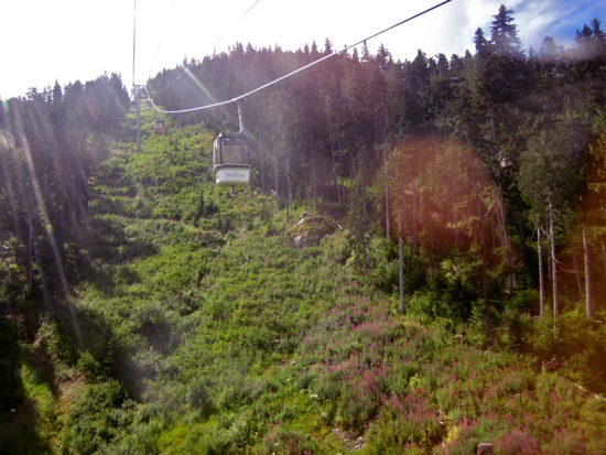 whistler