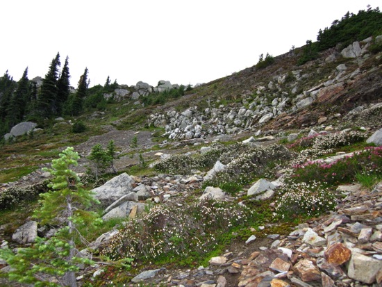 hiking