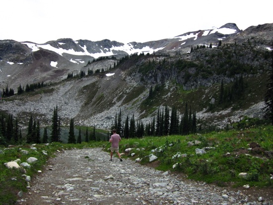whistler