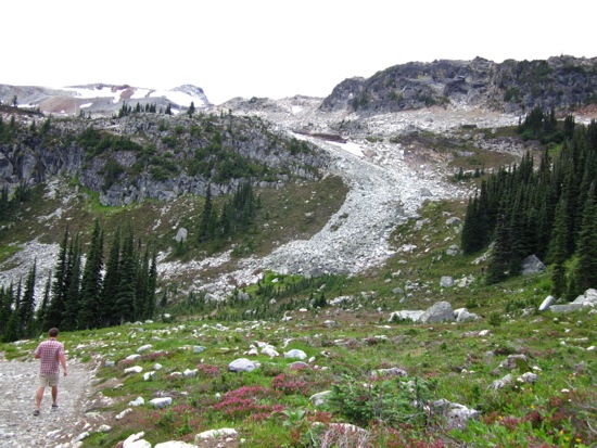 whistler