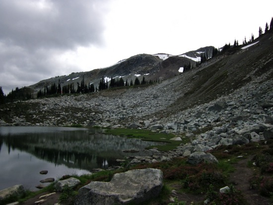 whistler