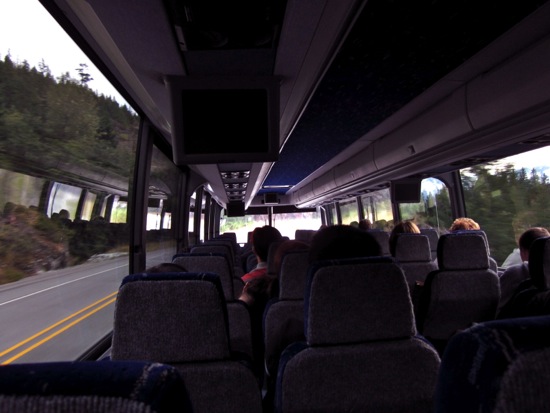 bus