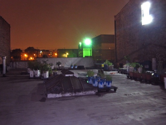 roof