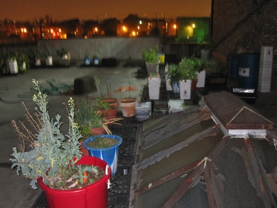 roof
