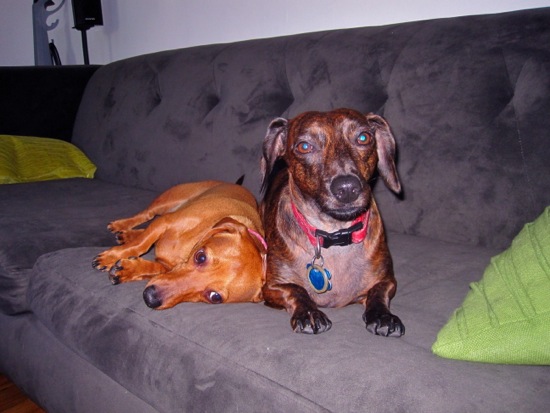 september 5, 2010