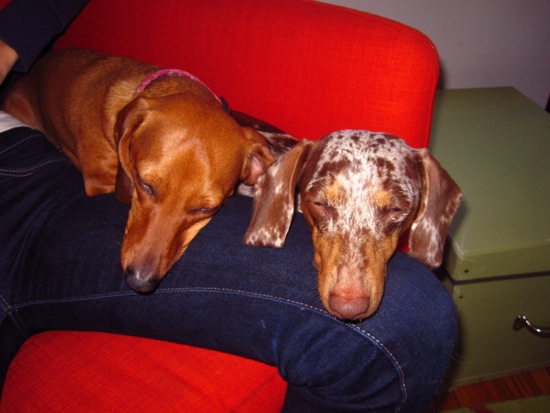 sleepy