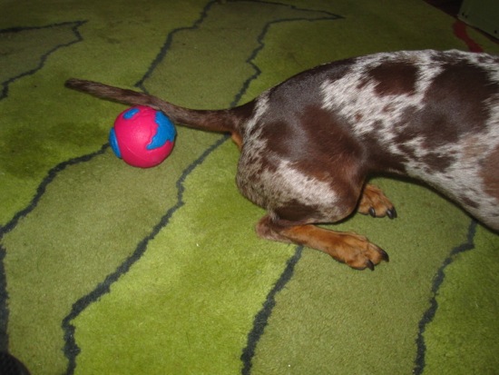 september 5, 2010