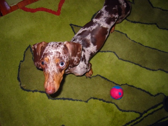 september 5, 2010