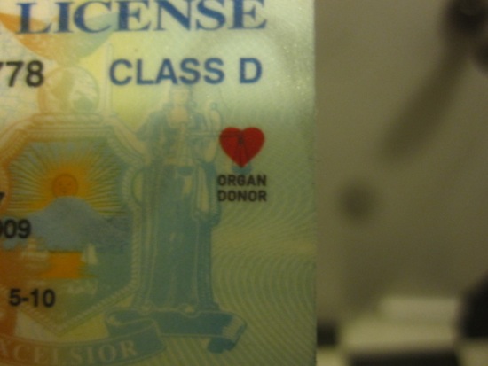 license