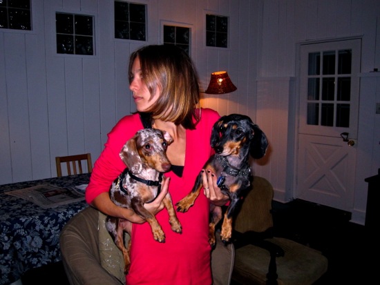 dogs + meredith