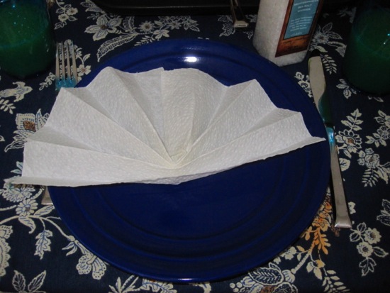 napkin