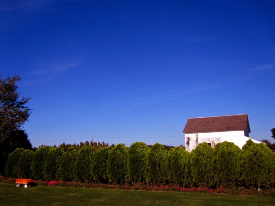 barn