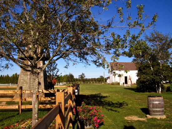 farm