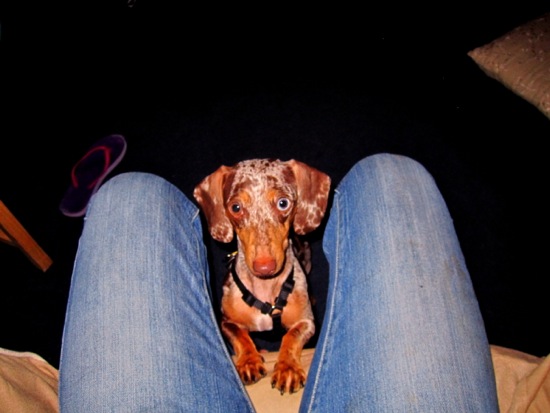 maddy