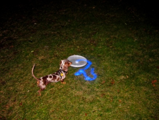 frisbee