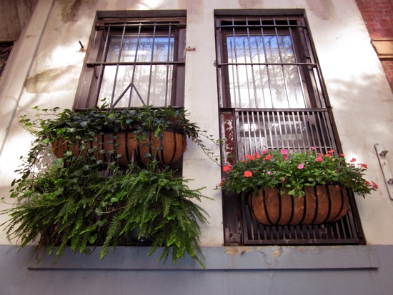 window