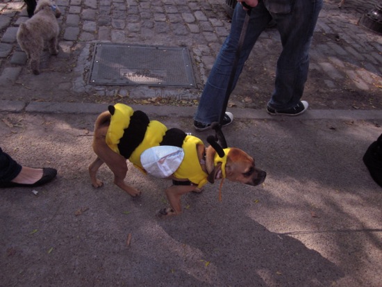 costumes