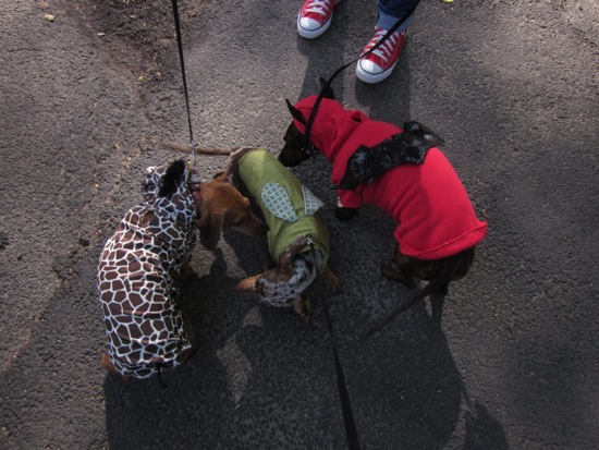 costumes